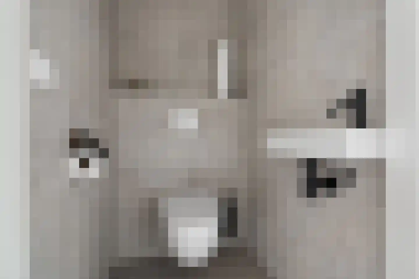 Regenboogforel 21 Waddinxveen thumbnail 18