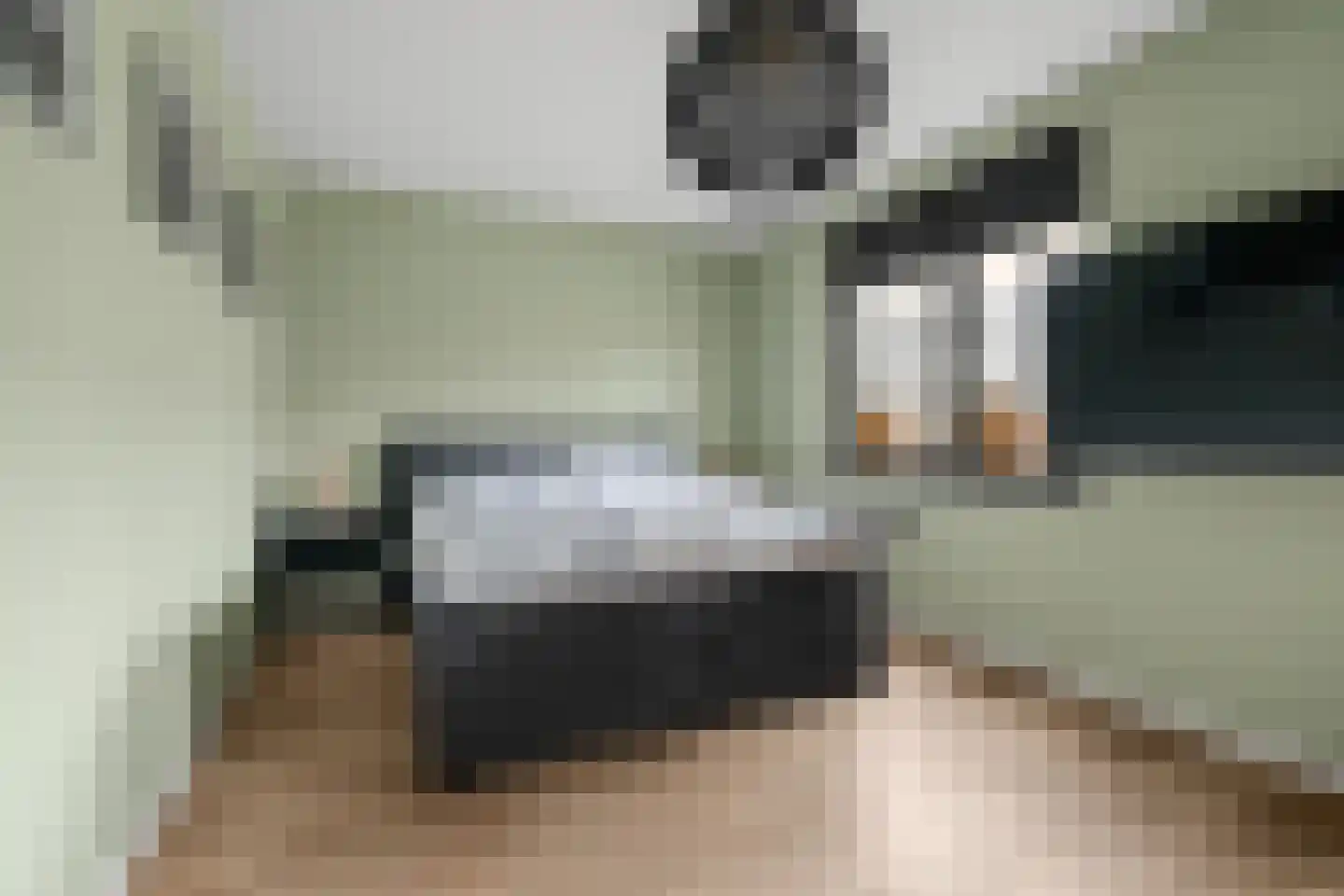 Regenboogforel 21 Waddinxveen thumbnail 19
