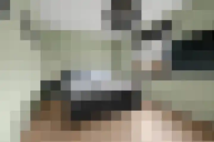 Regenboogforel 21 Waddinxveen thumbnail 19