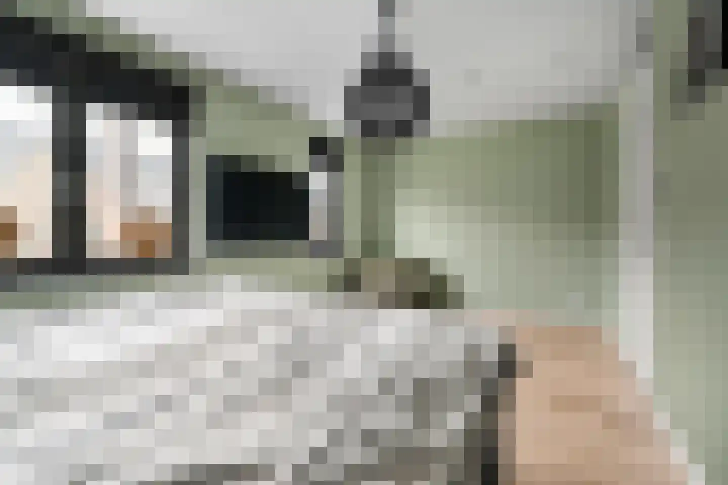 Regenboogforel 21 Waddinxveen thumbnail 20