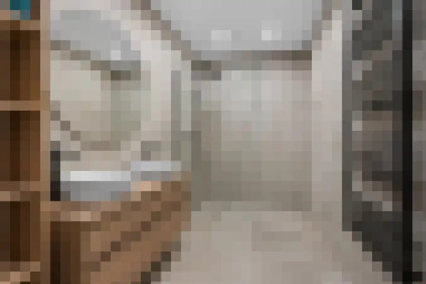 Regenboogforel 21 Waddinxveen thumbnail 23