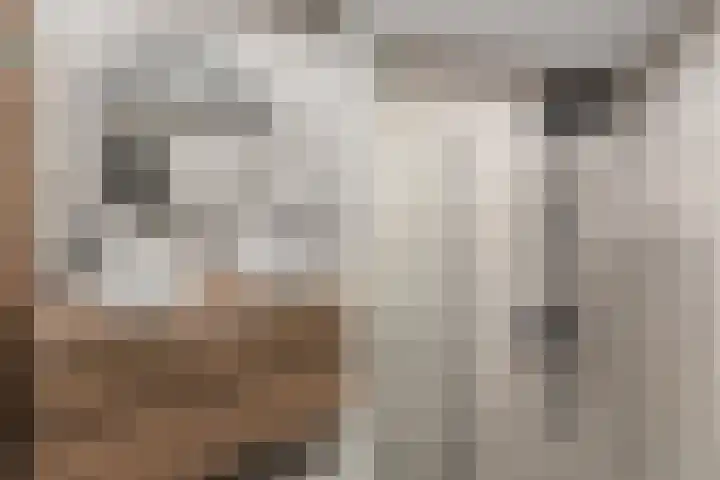 Regenboogforel 21 Waddinxveen thumbnail 24