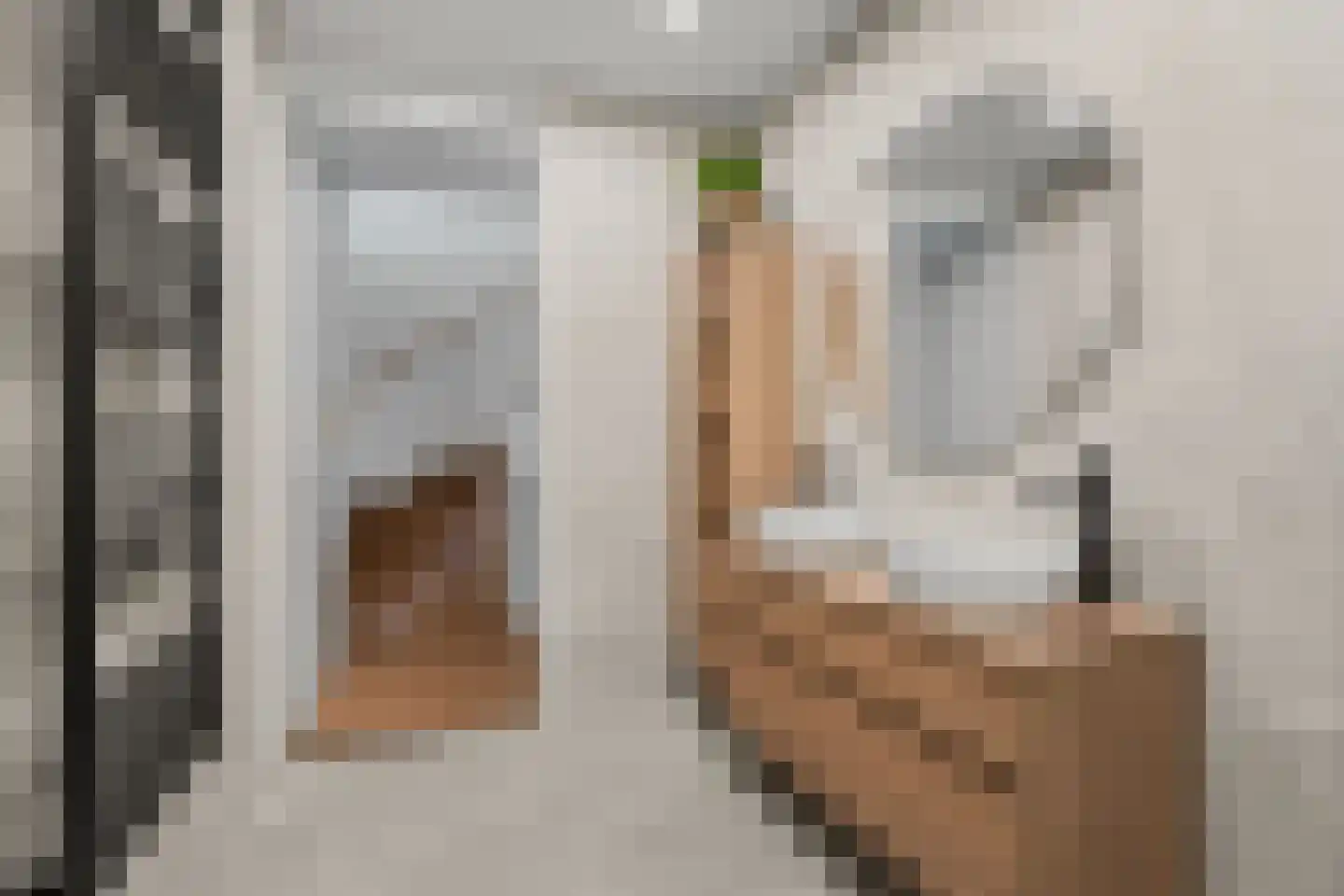Regenboogforel 21 Waddinxveen thumbnail 25