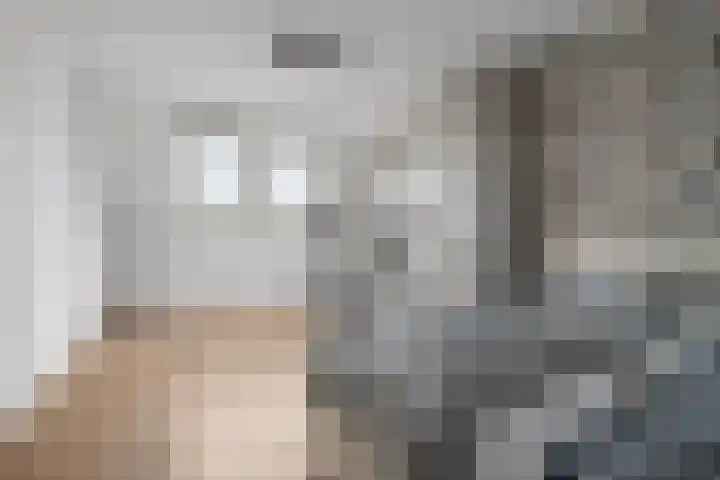 Regenboogforel 21 Waddinxveen thumbnail 28