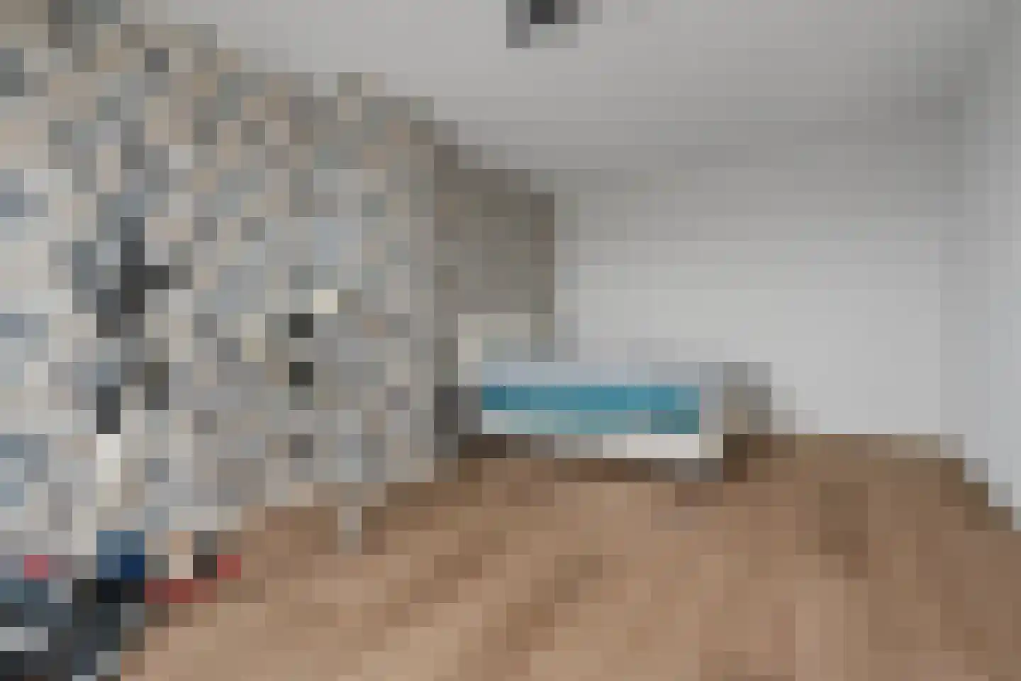 Regenboogforel 21 Waddinxveen thumbnail 29