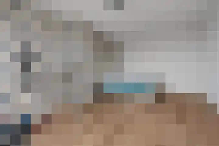 Regenboogforel 21 Waddinxveen thumbnail 29