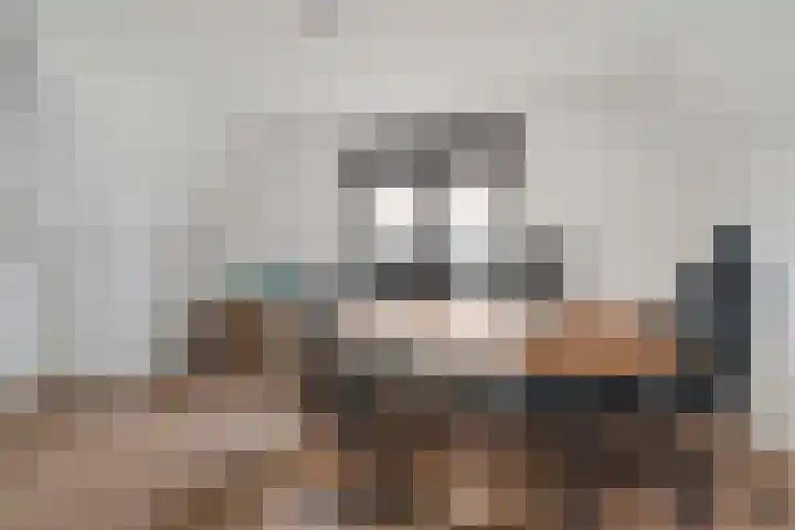 Regenboogforel 21 Waddinxveen thumbnail 30