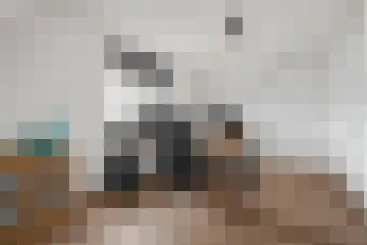 Regenboogforel 21 Waddinxveen thumbnail 31