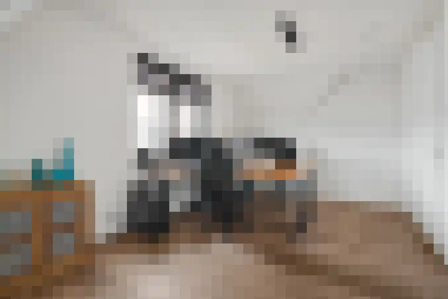 Regenboogforel 21 Waddinxveen thumbnail 31