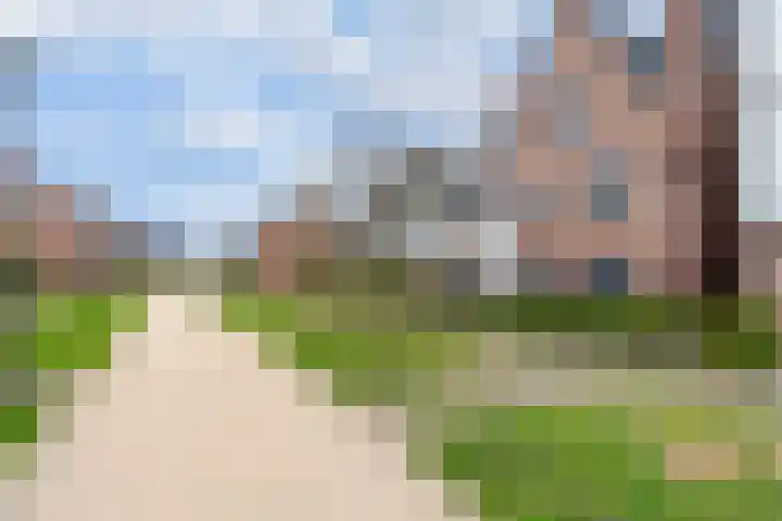Regenboogforel 21 Waddinxveen thumbnail 32