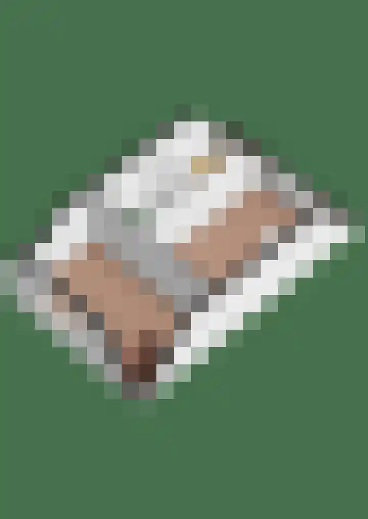 Regenboogforel 21 Waddinxveen thumbnail 41