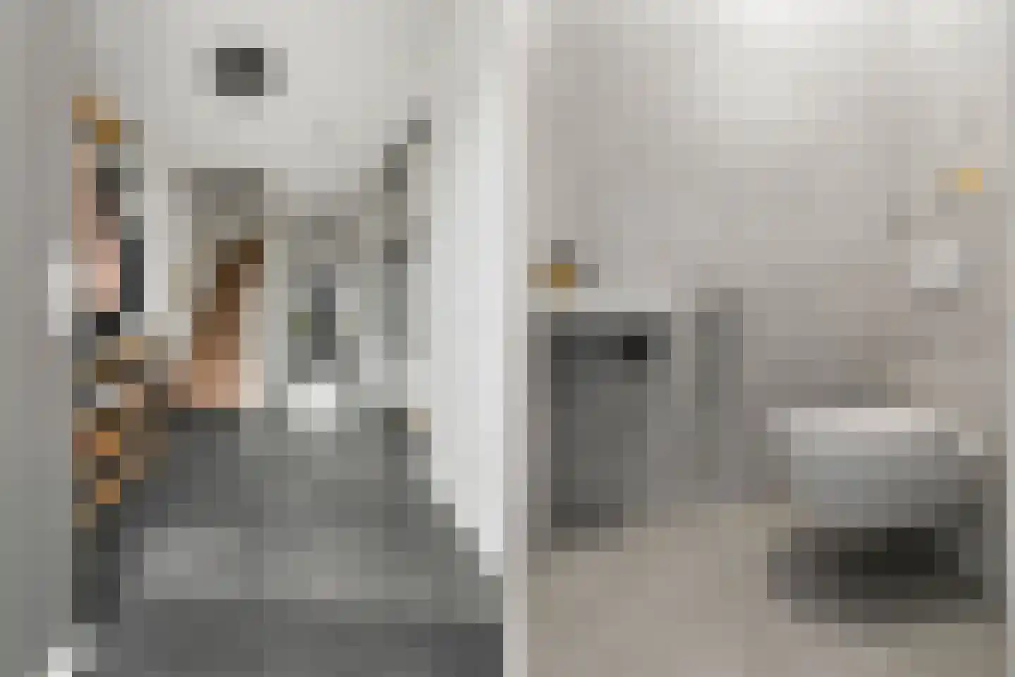 Regenboogforel 21 Waddinxveen thumbnail 5