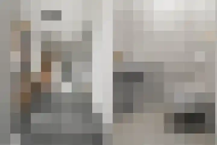 Regenboogforel 21 Waddinxveen thumbnail 5