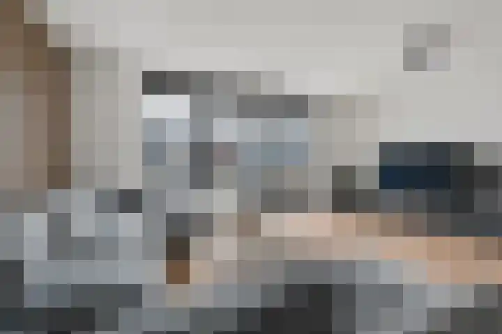 Regenboogforel 21 Waddinxveen thumbnail 7