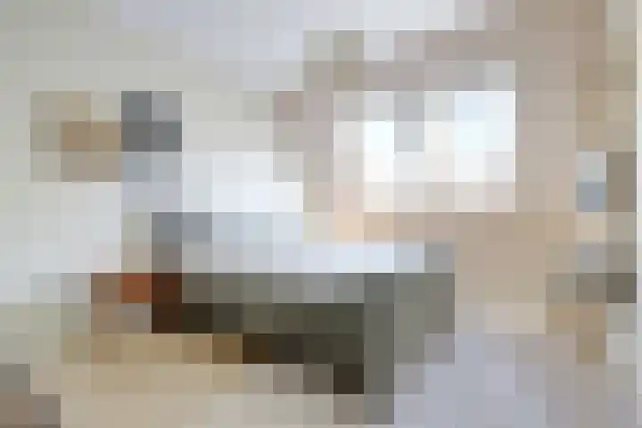 Regenboogforel 3 Waddinxveen thumbnail 26