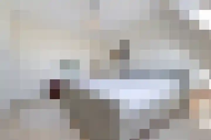 Regenboogforel 3 Waddinxveen thumbnail 27
