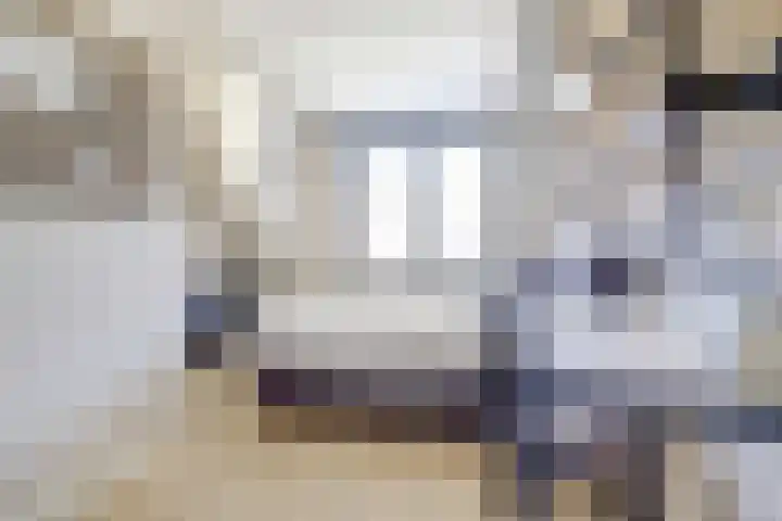 Regenboogforel 3 Waddinxveen thumbnail 28