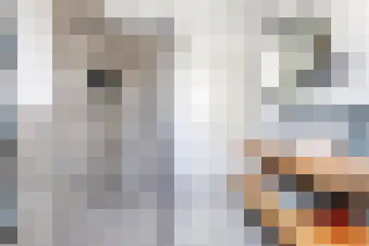 Regenboogforel 3 Waddinxveen thumbnail 32