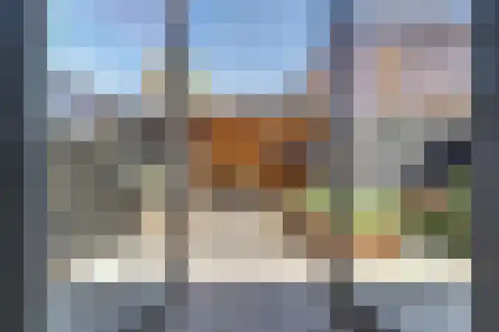 Regenboogforel 3 Waddinxveen thumbnail 38
