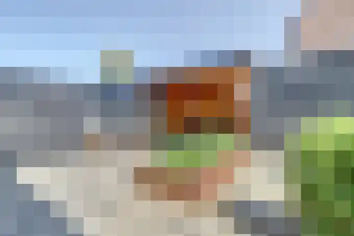Regenboogforel 3 Waddinxveen thumbnail 39