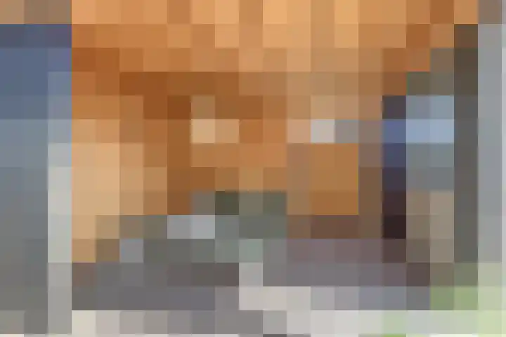 Regenboogforel 3 Waddinxveen thumbnail 40