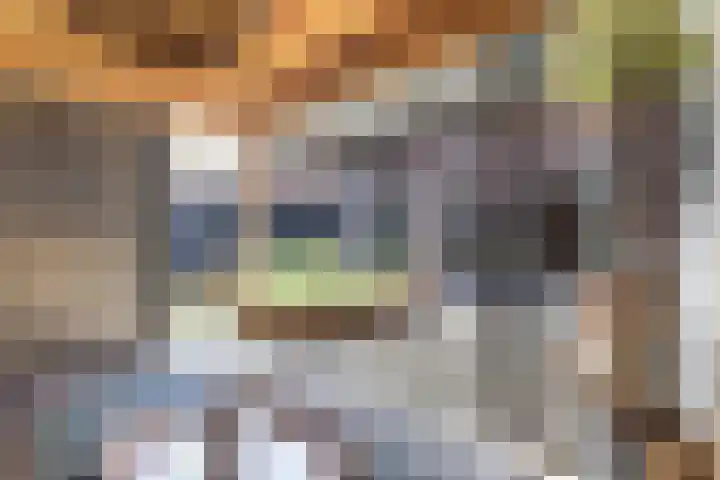 Regenboogforel 3 Waddinxveen thumbnail 41