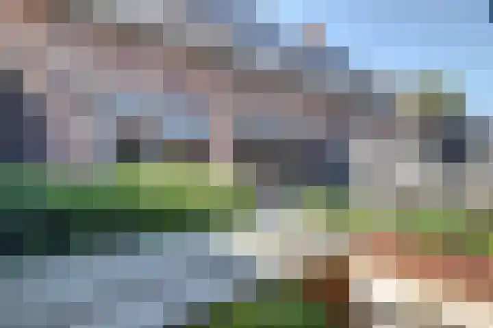 Regenboogforel 3 Waddinxveen thumbnail 42