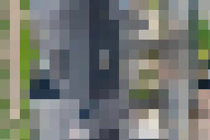 Regenboogforel 3 Waddinxveen thumbnail 43
