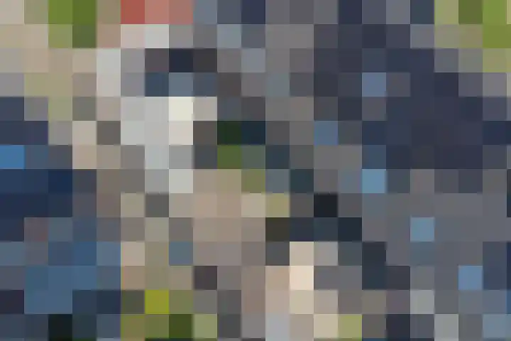 Regenboogforel 3 Waddinxveen thumbnail 44