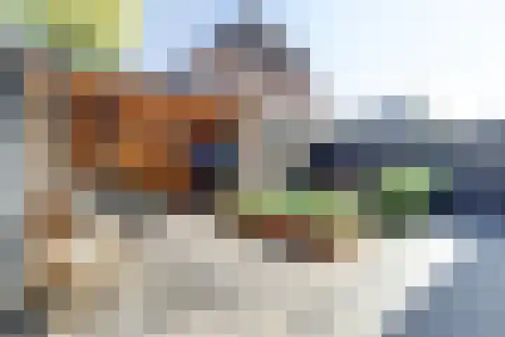 Regenboogforel 3 Waddinxveen thumbnail 5