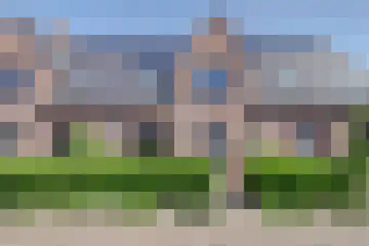 Regenboogforel 3 Waddinxveen thumbnail 6