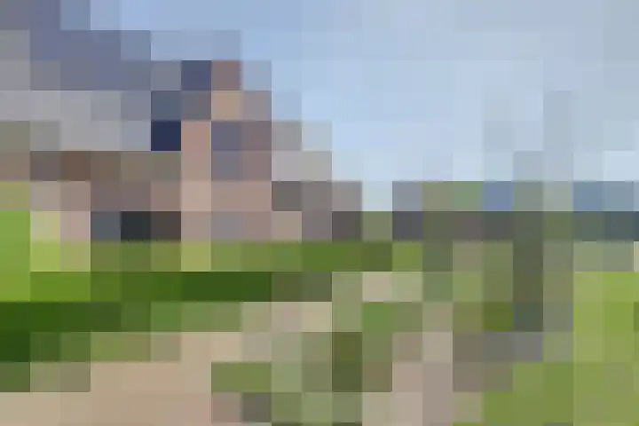 Regenboogforel 3 Waddinxveen thumbnail 7
