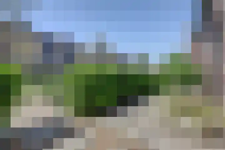 Regenboogforel 3 Waddinxveen thumbnail 8