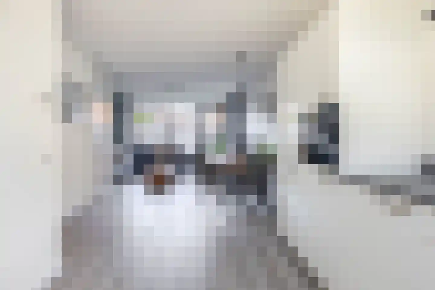 Regenboogforel 40 Waddinxveen thumbnail 14