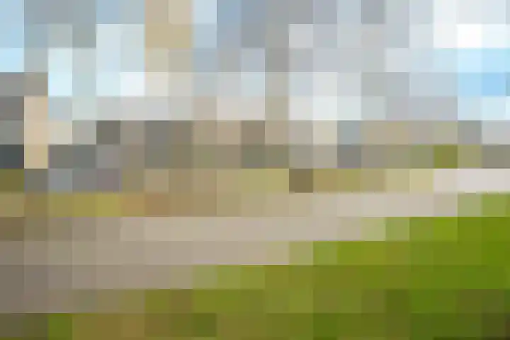 Regenboogforel 42 Krommenie