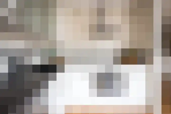 Regenboogforel 42 Krommenie thumbnail 14