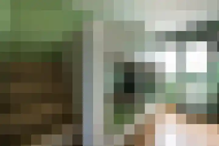 Regenboogforel 42 Krommenie thumbnail 23