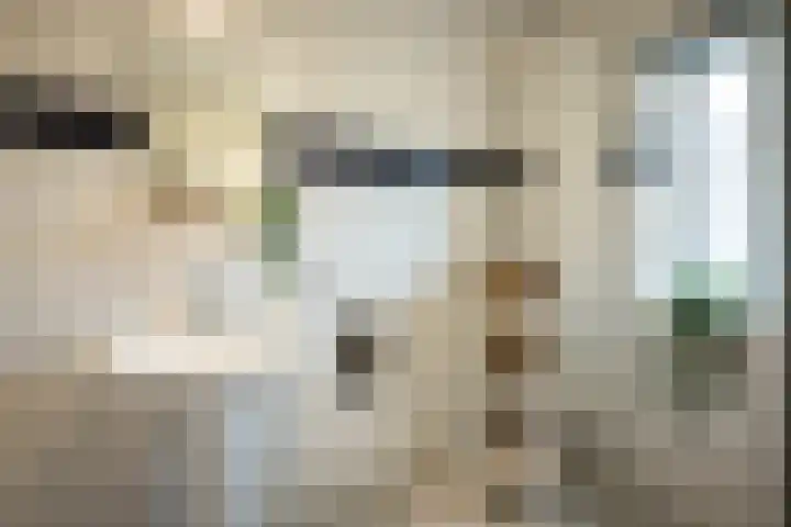 Regenboogforel 42 Krommenie thumbnail 26