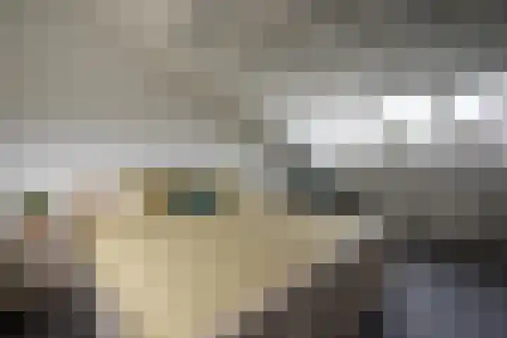 Regenboogforel 42 Krommenie thumbnail 30