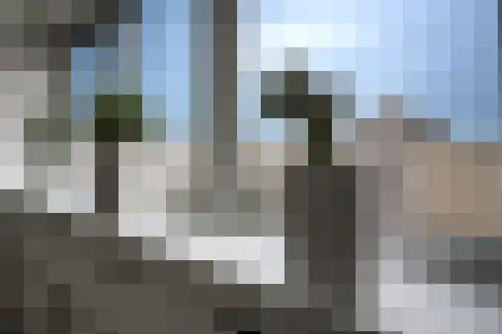 Regenboogforel 42 Krommenie thumbnail 32