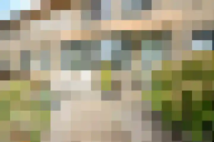 Regenboogforel 42 Krommenie thumbnail 41