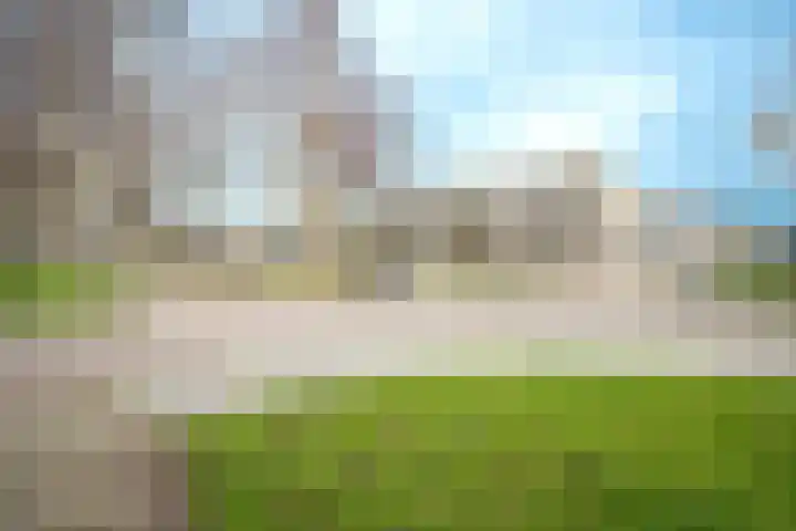 Regenboogforel 42 Krommenie thumbnail 44