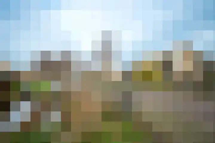 Regenboogforel 42 Krommenie thumbnail 45