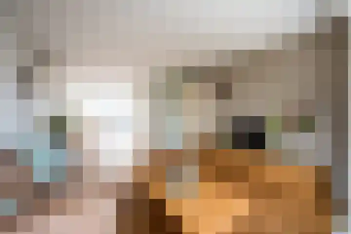 Regenboogforel 42 Krommenie thumbnail 7