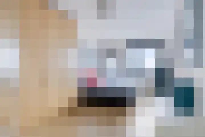 Regenboogkade 105 Rotterdam thumbnail 19