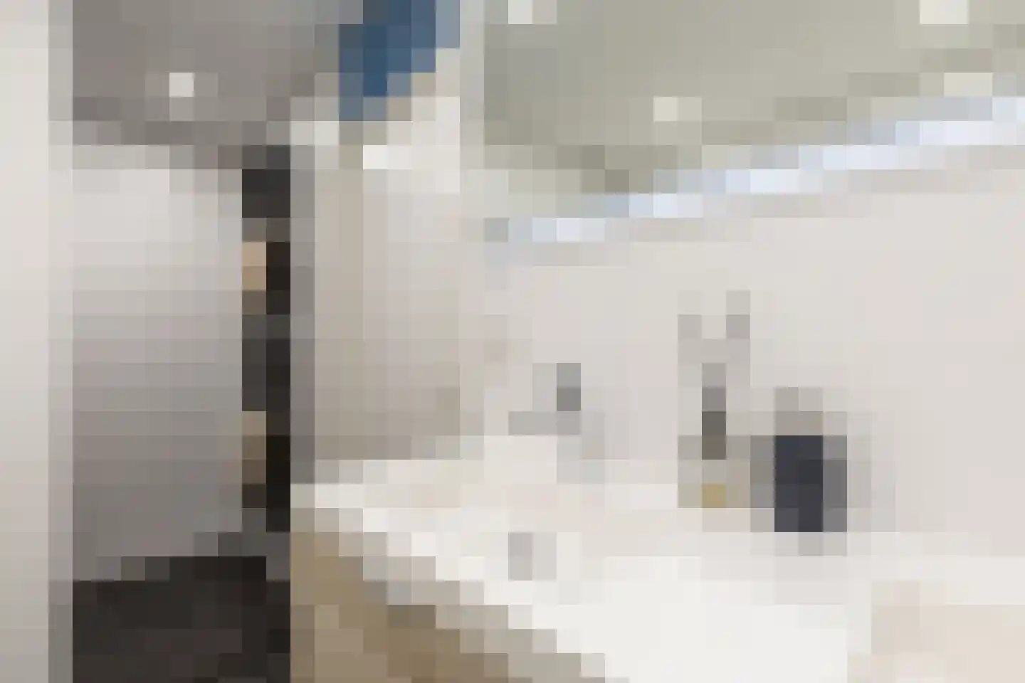 Regenboogkade 127 Rotterdam thumbnail 33