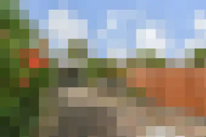 Regenboogsingel 49 Zoetermeer thumbnail 14