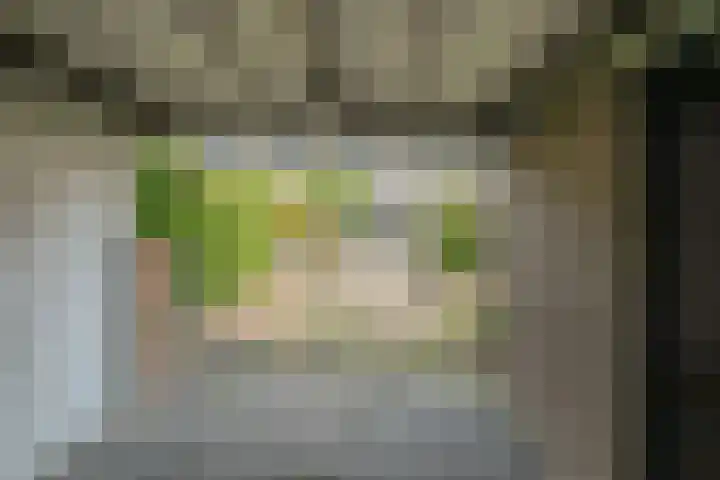 Regenboogsingel 49 Zoetermeer thumbnail 19
