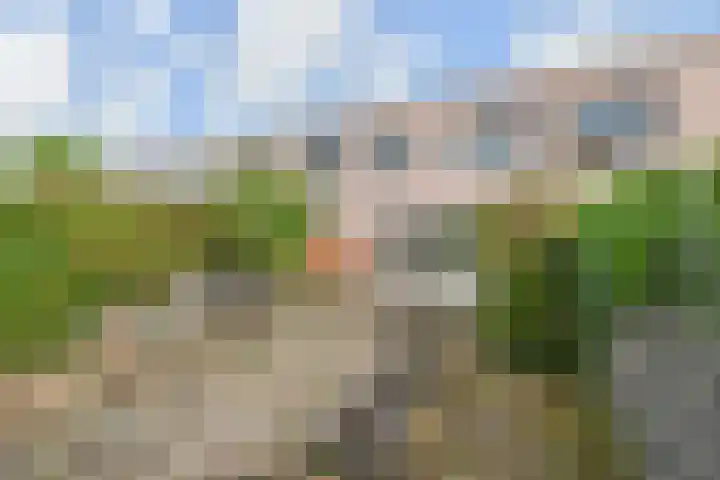 Regenboogsingel 49 Zoetermeer thumbnail 20