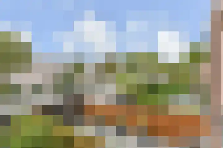 Regenboogsingel 49 Zoetermeer thumbnail 32